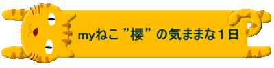 �@�@�@   my�˂� �h�N�h �̋C�܂܂ȂP��